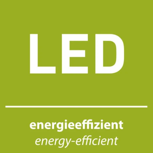 JUST LIGHT LED Deckenleuchte KULUNKA Kristallrand D=37cm 4000K modern