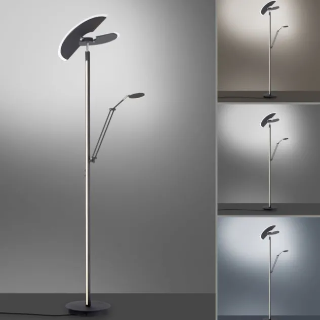 Neuhaus PURE® Led Deckenfluter / Stehleuc PURE Mutil graphite Leselicht dimmbar