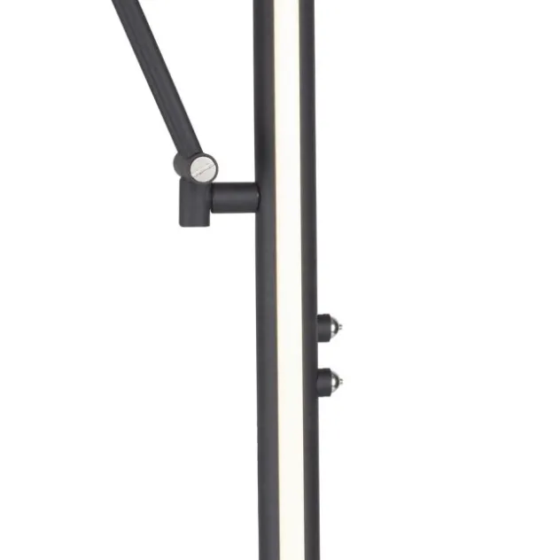 Neuhaus PURE® Led Deckenfluter / Stehleuc PURE Mutil graphite Leselicht dimmbar