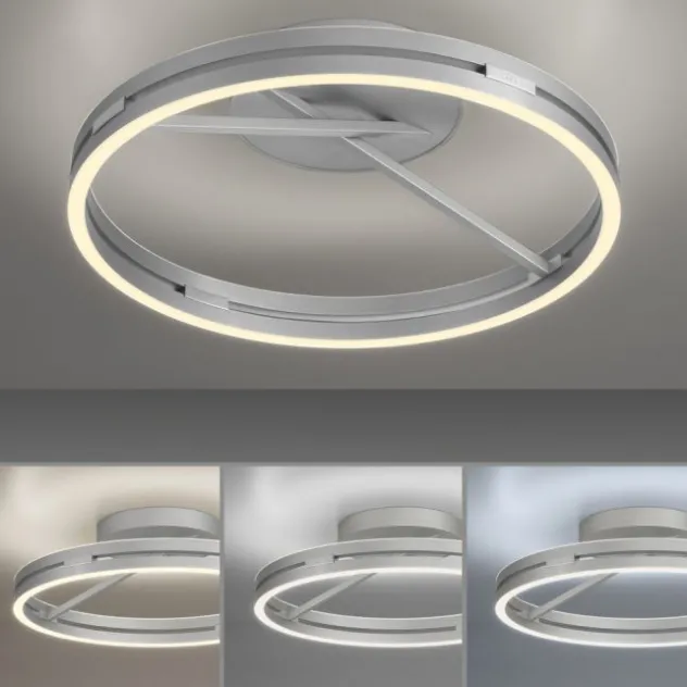 Neuhaus PURE® LED Deckenleuchte PURE Loop, stone (alu), Fernbedienung