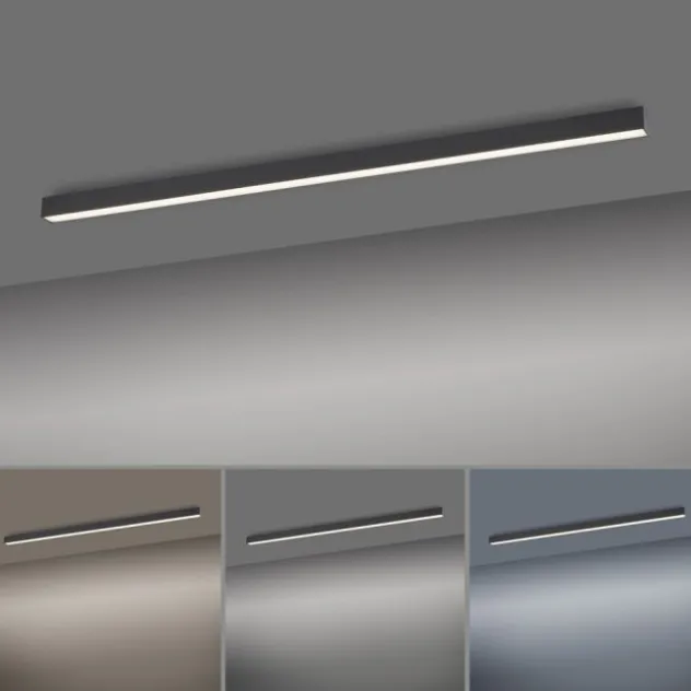 Neuhaus PURE® LED Deckenleuchte PURE Lines Straight graphite dimmbar