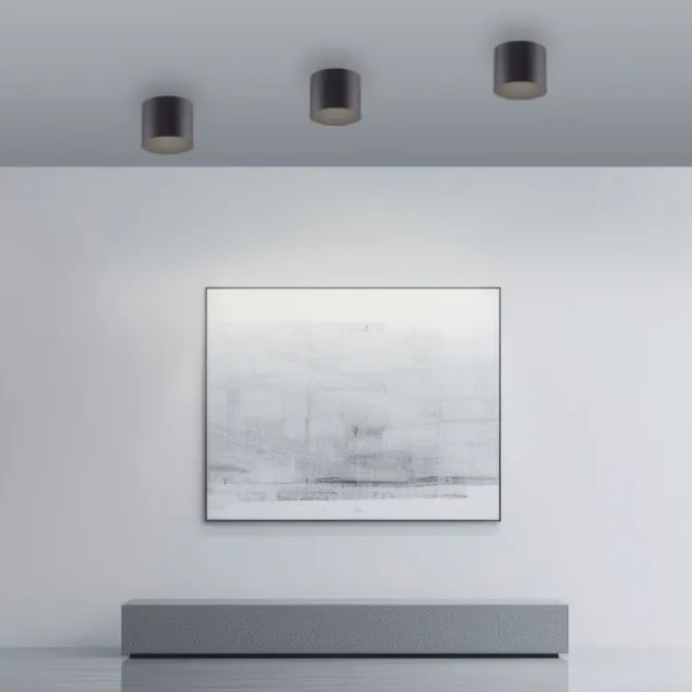 Neuhaus PURE® LED Deckenleuchte PURE Point, black pearl, Indoor, dimmbar