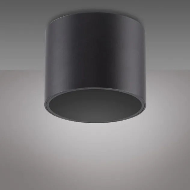 Neuhaus PURE® LED Deckenleuchte PURE Point, black pearl, Indoor, dimmbar