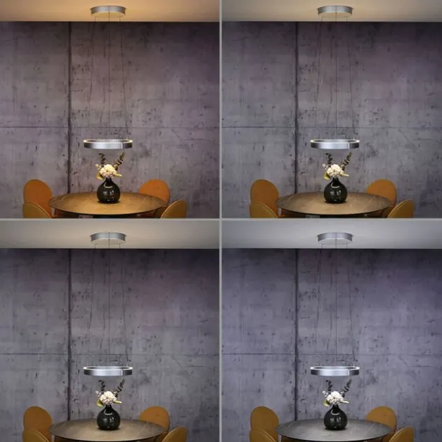 Neuhaus PURE® LED Pendelleuchte PURE E-Clipse stone (alu)