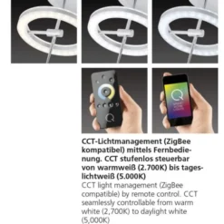 Paul Neuhaus, Q-AMY, LED-Deckenleuchte, dimmbar, CCT, Smart Home (Auslauf)